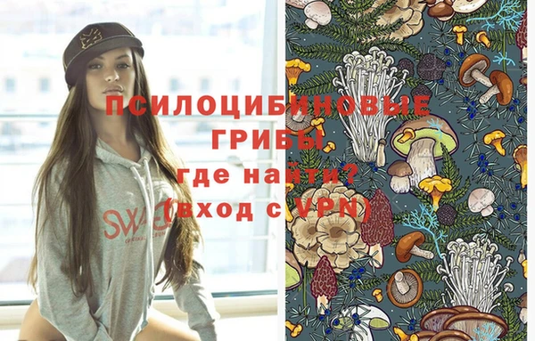 каннабис Богородицк