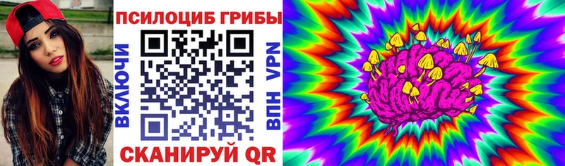Псилоцибиновые грибы Cubensis  Электрогорск 